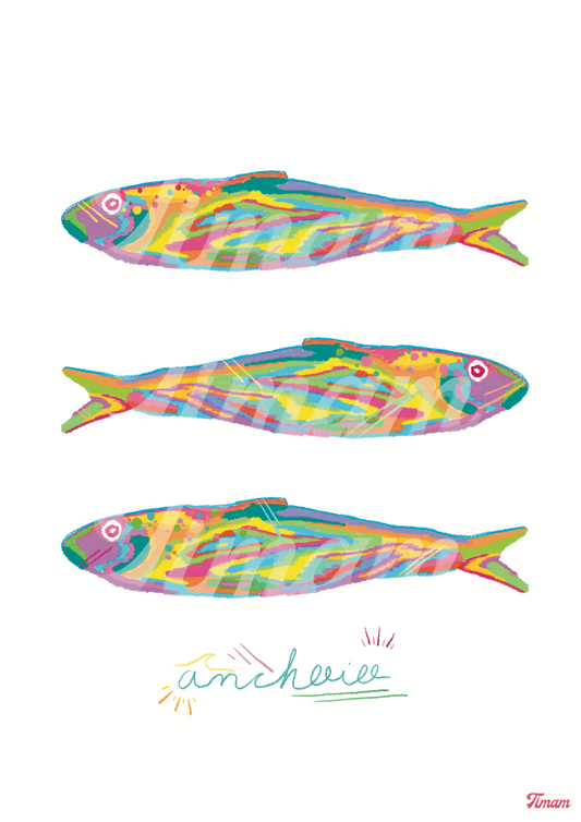 🐟Anchoio🐟